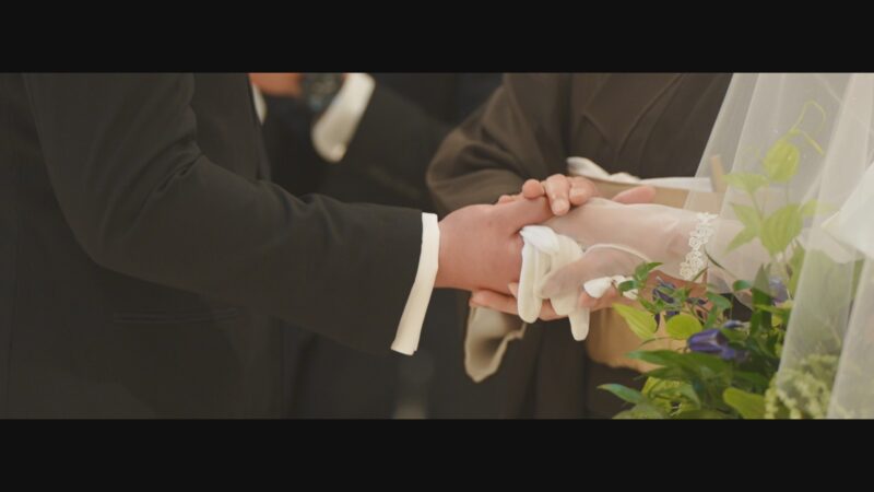 Cinematic Live Edition Plus