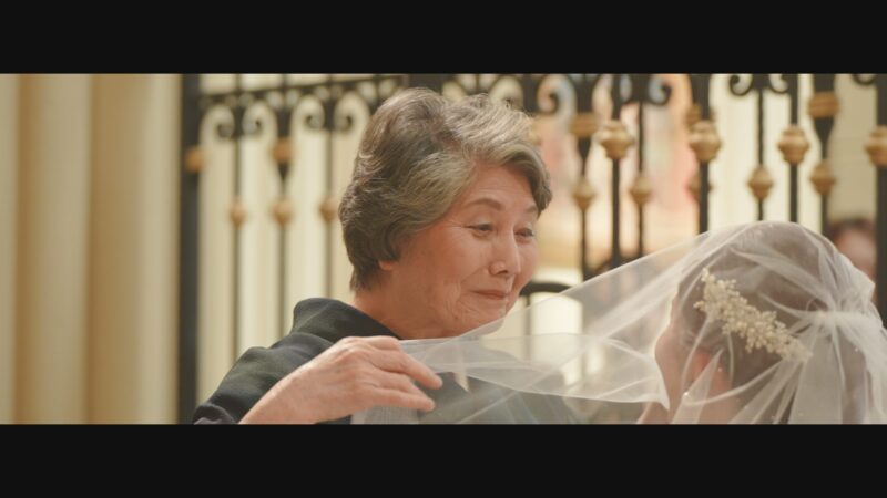 Cinematic Live Edition Plus